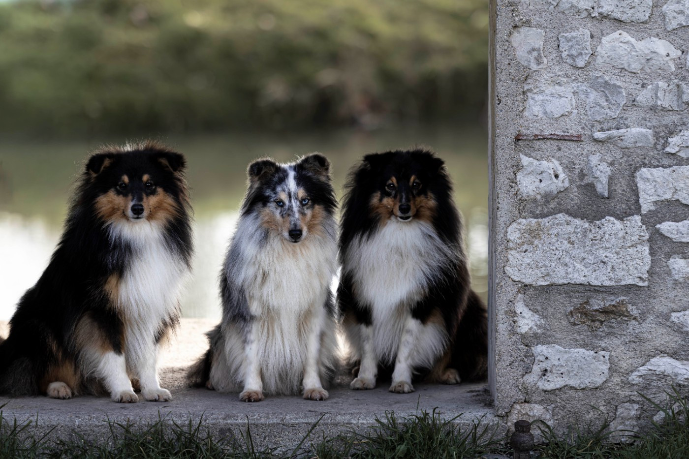 Shooting photo Karinebl lors d'une cani-marche